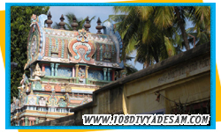 Navagraha Tour Packages
